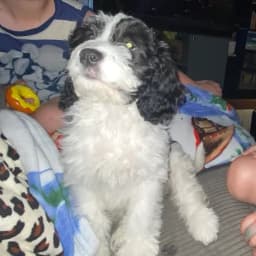 Gina C.'s profile photo