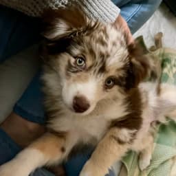 Jessica S.'s profile photo