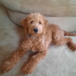 Hannah E.'s profile photo