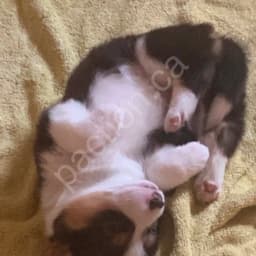 Glen M.'s profile photo