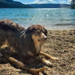 Jessica M.'s profile photo