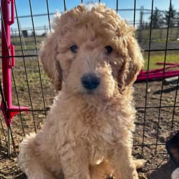 Jacquie L.'s profile photo