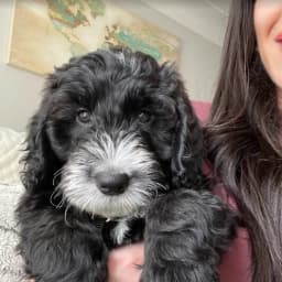 Gorana G.'s profile photo