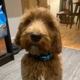 Stephanie B.'s profile photo