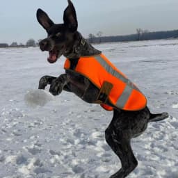 Liv C.'s profile photo