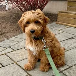 Tammy M.'s profile photo
