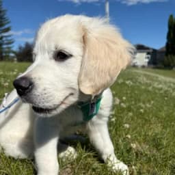Linda S.'s profile photo