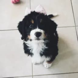 toni c.'s profile photo