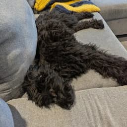F D.'s profile photo