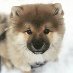 Meg C.'s profile photo