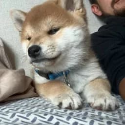 Kyle R.'s profile photo