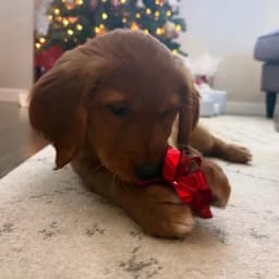Laura B.'s profile photo