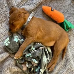 Allison S.'s profile photo