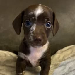 Heidi P.'s profile photo