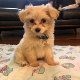 Deborah F.'s profile photo