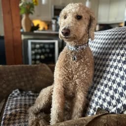 Lohralee W.'s profile photo