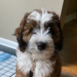 Allison L.'s profile photo