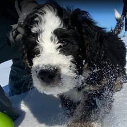 Bryan W.'s profile photo