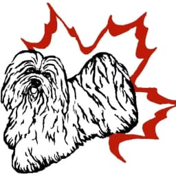 Havanese Fanciers Of Canada