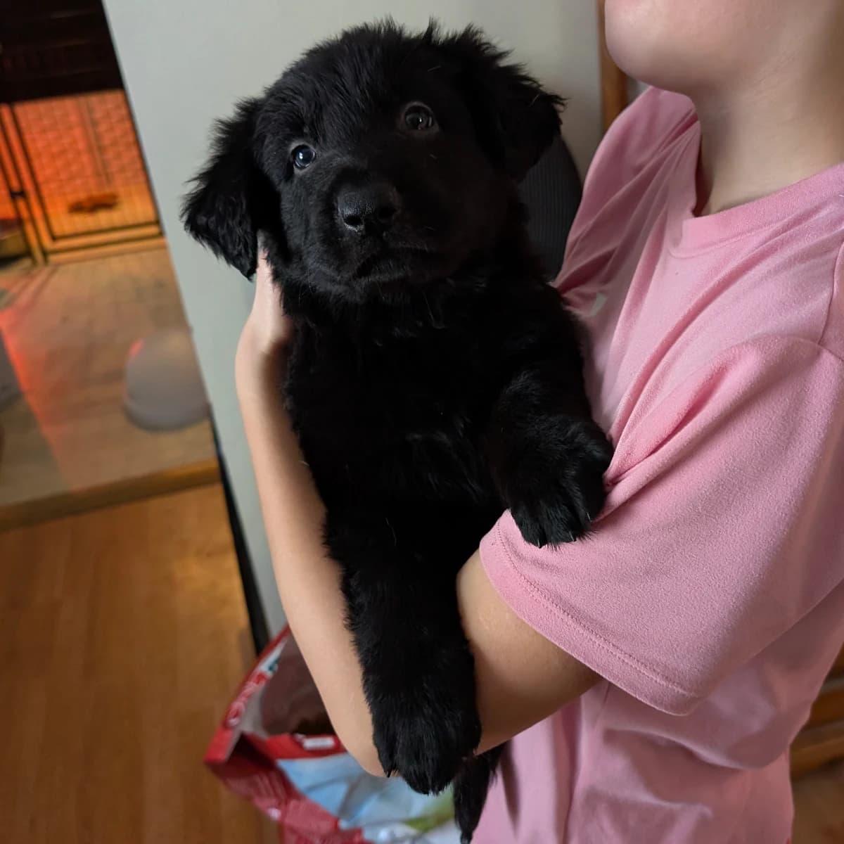 1 solid black male possible long coat