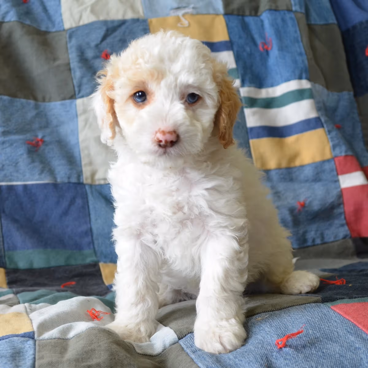 Benson