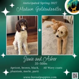 Janie & Asher - Anticipated Spring 2027