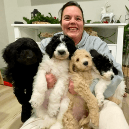 F1BB Labradoodle Puppies