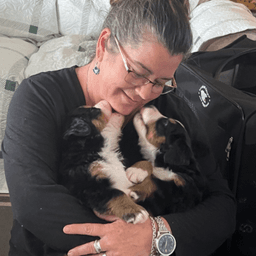 Berner Puppies Coming Soon