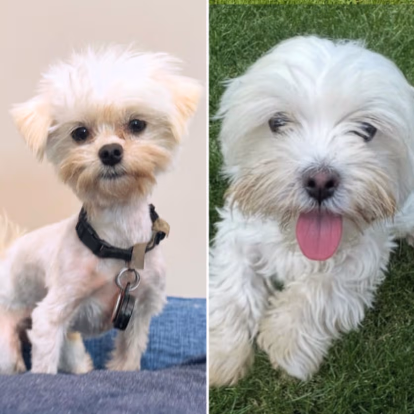 Sam & Bella