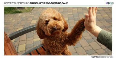 Ivey Business School HBA Blog feature on Paction