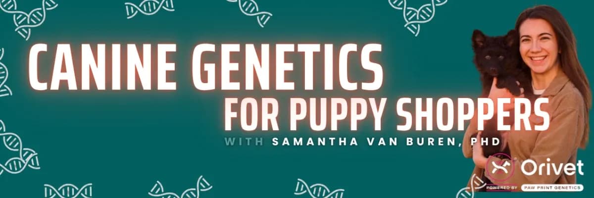 Canine genetics educational session preview