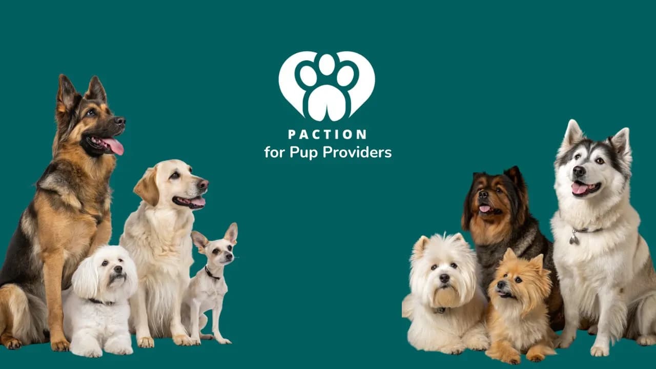 Paction provider experience